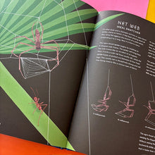 Load image into Gallery viewer, The Secret World of Spider Webs