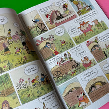 Load image into Gallery viewer, The Wonderous Wonders