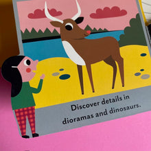 Load image into Gallery viewer, A Marvelous Museum