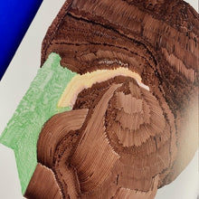 Load image into Gallery viewer, Fievre