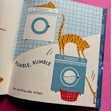 Load image into Gallery viewer, Mister Pip