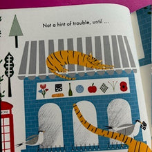 Load image into Gallery viewer, Mister Pip