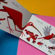 Load image into Gallery viewer, Hello Hello Colors