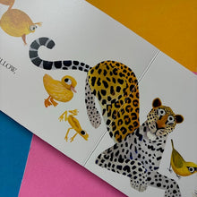 Load image into Gallery viewer, Hello Hello Colors