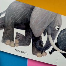 Load image into Gallery viewer, Hello Hello Colors