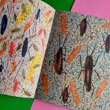 Load image into Gallery viewer, A Rare Gift Of The Tropics