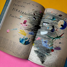 Load image into Gallery viewer, The Dictionary Story