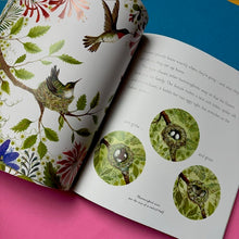 Load image into Gallery viewer, Hummingbird