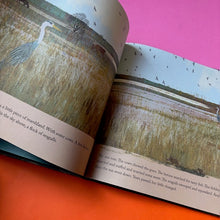 Load image into Gallery viewer, The House on the Canal: The Story of the House that Hid Anne Frank