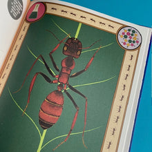 Load image into Gallery viewer, Super Powered Animals
