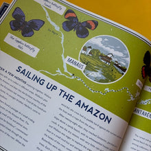 Load image into Gallery viewer, Darwin's Rival