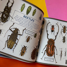 Load image into Gallery viewer, Darwin's Rival