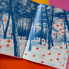 Load image into Gallery viewer, Quill the Forest Keeper