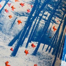 Load image into Gallery viewer, Quill the Forest Keeper