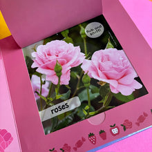 Load image into Gallery viewer, Garden : Follow Your Nose - Colours and Scents