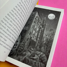 Load image into Gallery viewer, Giraffe Island