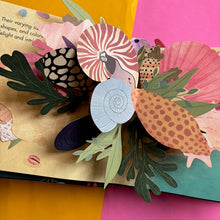 Load image into Gallery viewer, Shells: A Summer Pop Up