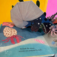Load image into Gallery viewer, Shells: A Summer Pop Up