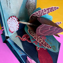 Load image into Gallery viewer, Shells: A Summer Pop Up