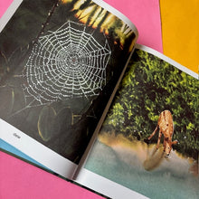 Load image into Gallery viewer, Dawn