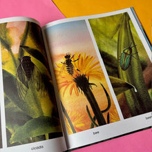 Load image into Gallery viewer, Dawn