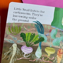 Load image into Gallery viewer, Little Snail's Book Of Bugs