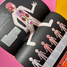 Load image into Gallery viewer, Head to Toe