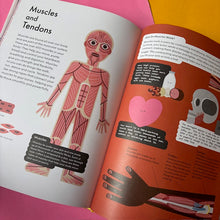 Load image into Gallery viewer, Head to Toe