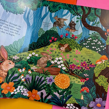 Load image into Gallery viewer, Hide and Find in the Forest: A Lift-the-Flap Woodland Adventure