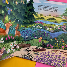 Load image into Gallery viewer, Hide and Find in the Forest: A Lift-the-Flap Woodland Adventure