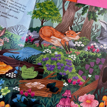 Load image into Gallery viewer, Hide and Find in the Forest: A Lift-the-Flap Woodland Adventure