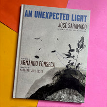 Load image into Gallery viewer, An Unexpected Light