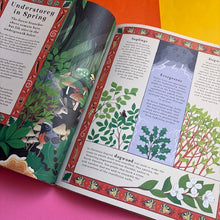 Load image into Gallery viewer, Woodlore: Discover the seasons and stories of the forest