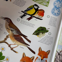 Load image into Gallery viewer, A Year in Nature