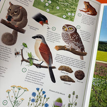 Load image into Gallery viewer, A Year in Nature