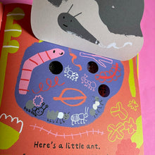 Load image into Gallery viewer, A Little World Of Ants