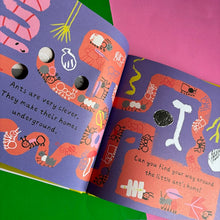 Load image into Gallery viewer, A Little World Of Ants