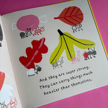 Load image into Gallery viewer, A Little World Of Ants