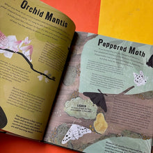 Load image into Gallery viewer, Don't Squish a Slug