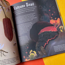 Load image into Gallery viewer, Don't Squish a Slug