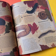 Load image into Gallery viewer, Don't Squish a Slug