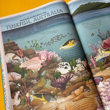 Load image into Gallery viewer, Atlas of Ocean Adventures