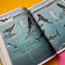 Load image into Gallery viewer, Atlas of Ocean Adventures