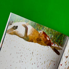 Load image into Gallery viewer, The Hare & Tortoise