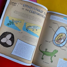 Load image into Gallery viewer, Stones And Bones