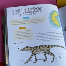 Load image into Gallery viewer, Stones And Bones