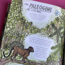 Load image into Gallery viewer, Stones And Bones