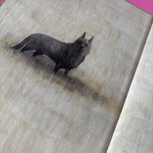 Load image into Gallery viewer, The Pack