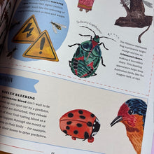 Load image into Gallery viewer, Buzz : A child's guide to bugs and bees and how to spot them