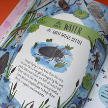 Load image into Gallery viewer, Buzz : A child's guide to bugs and bees and how to spot them
